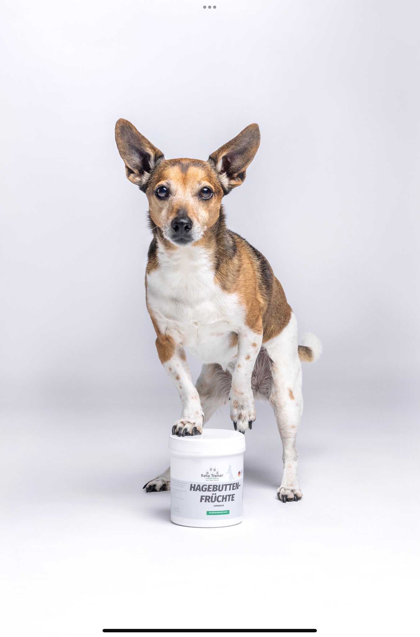 Hagebuttenpulver - Vitamin C Booster