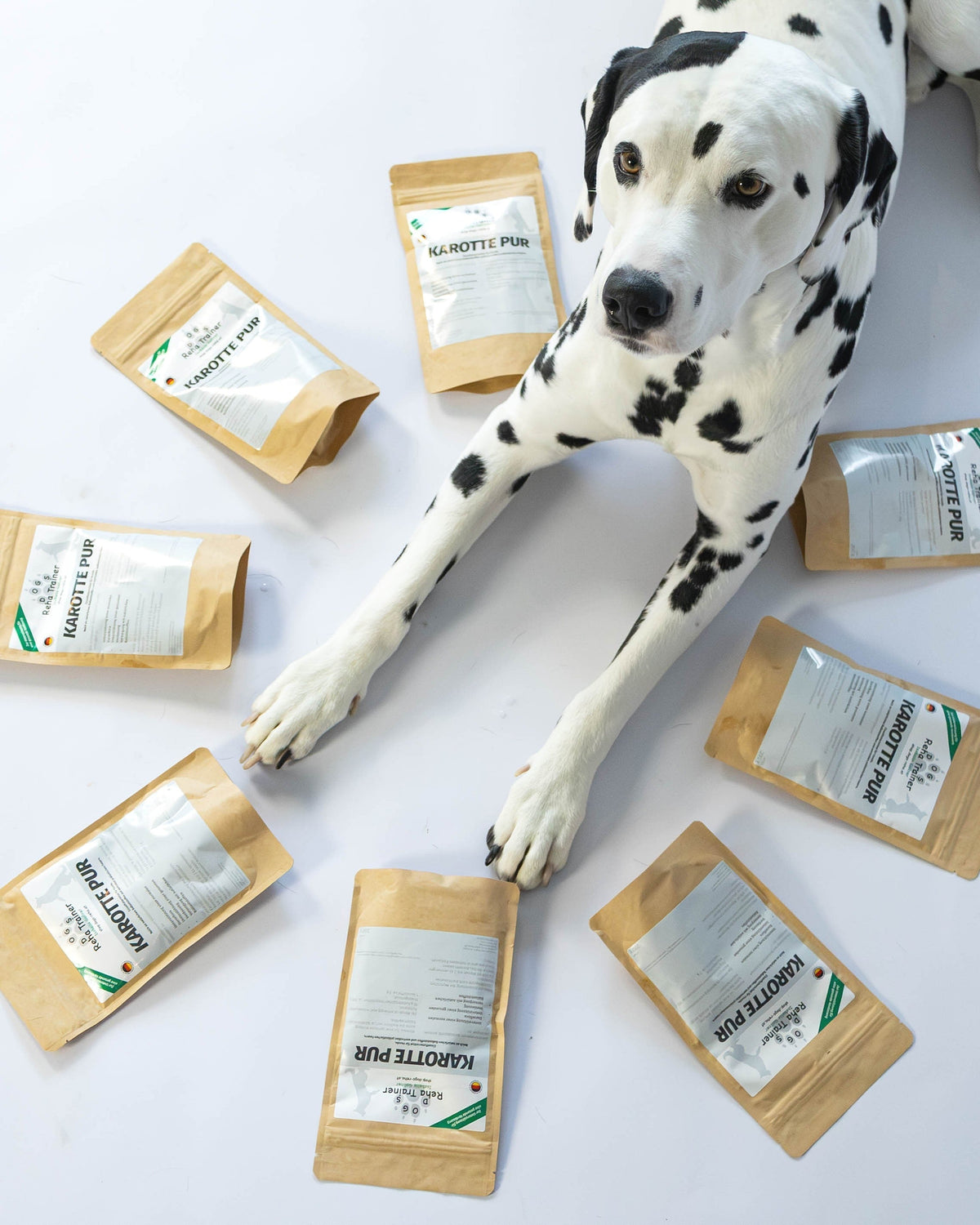 Morosche Karottensuppe für Hunde -wissenschaftlich erklärt
