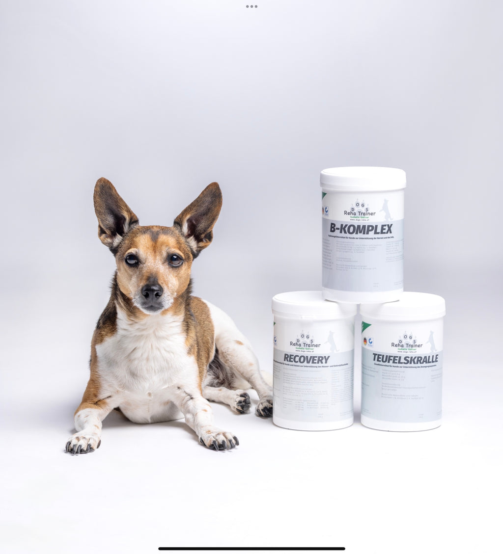 Teufelskralle für Hunde – Produktansicht 2