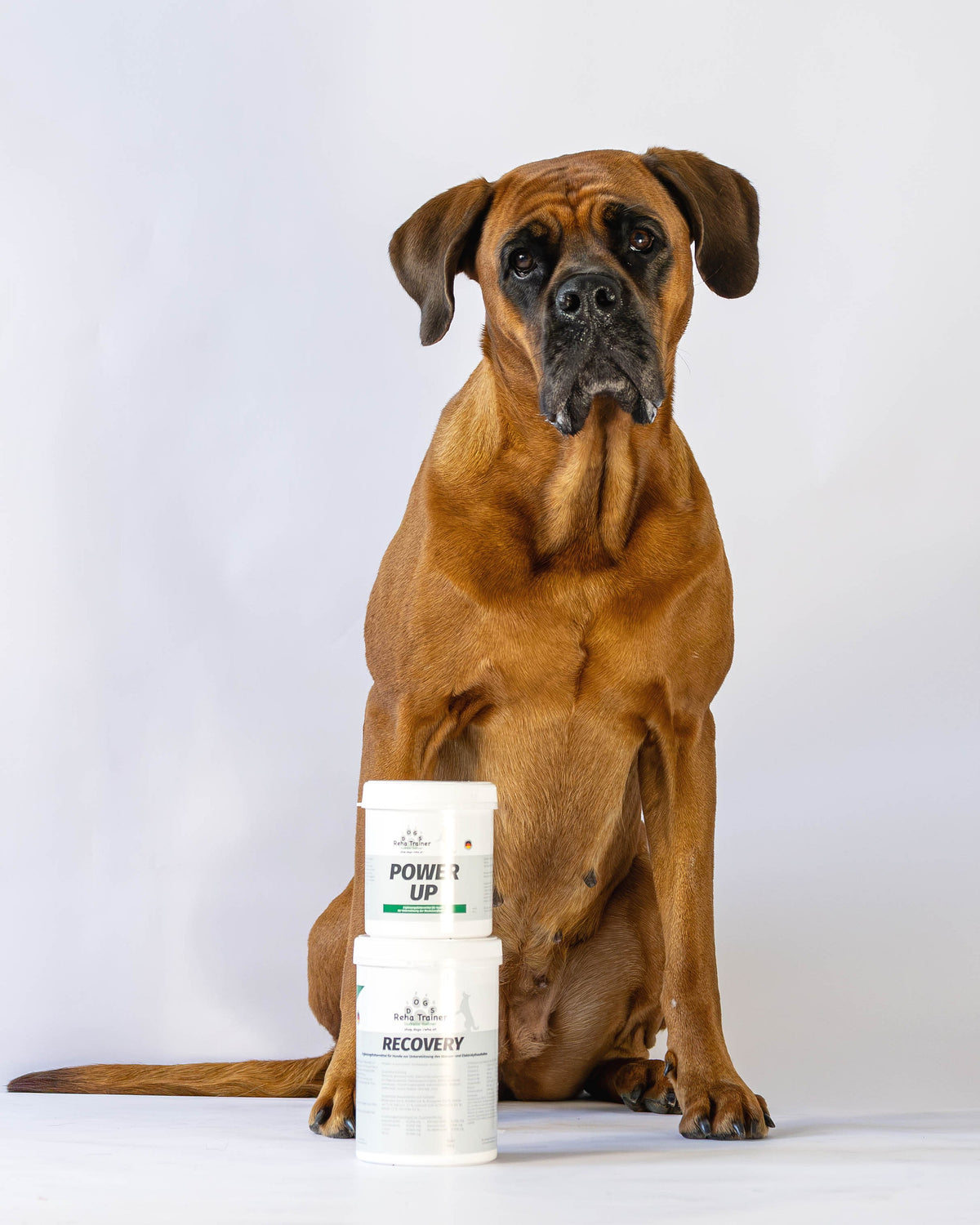 EnergyDuo: Leistungsfähigkeit & Regeneration für Hunde