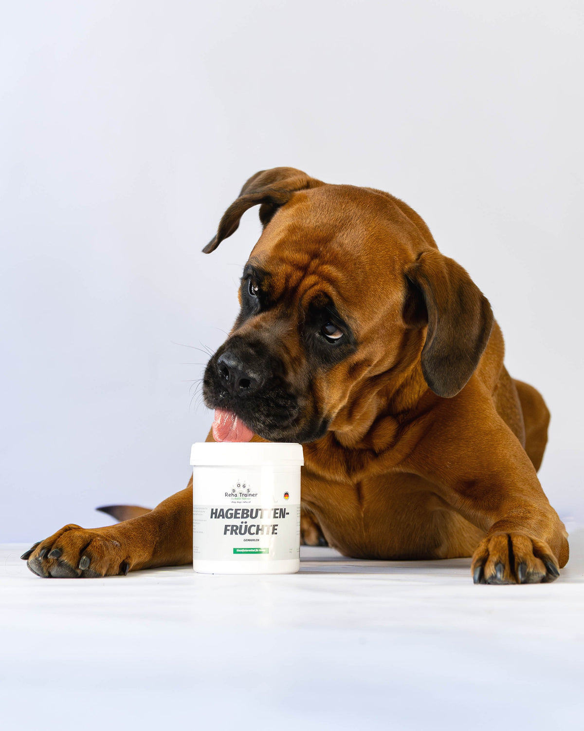 Hagebuttenpulver - Vitamin C Booster