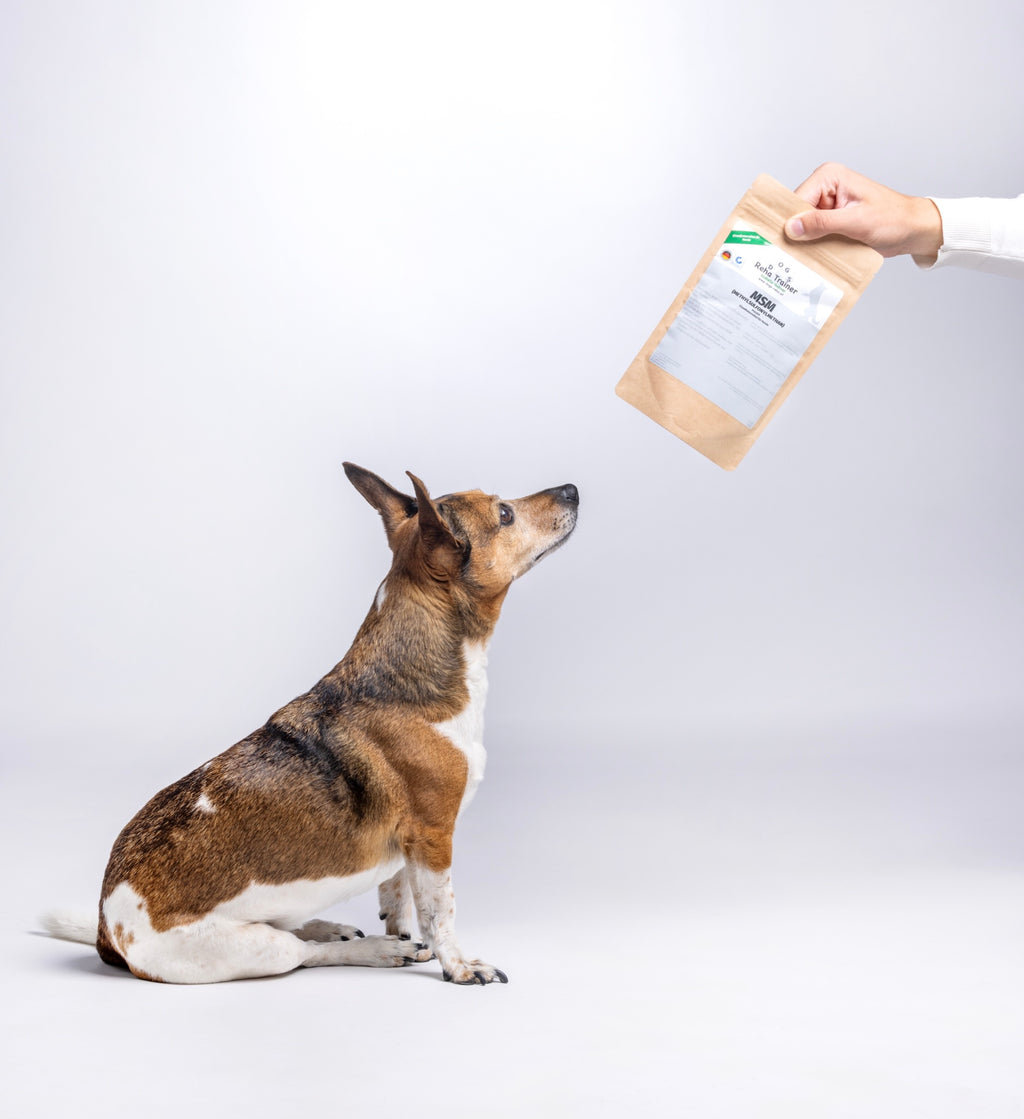 MSM für Hunde – Produktansicht 2