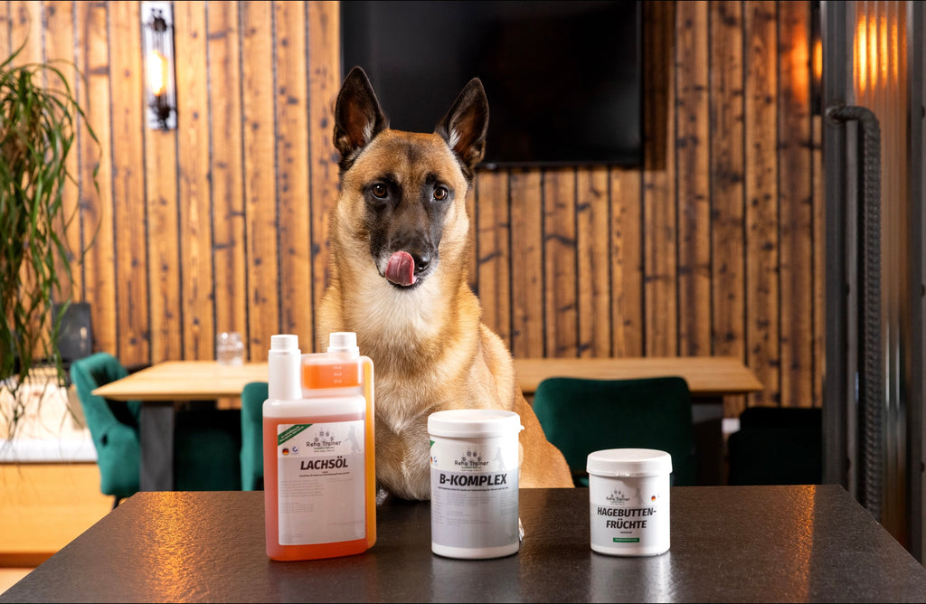 VitalPlus Paket für Hunde – Produktansicht 3