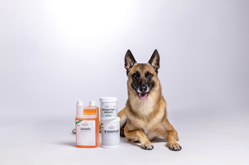 VitalPlus Paket für Hunde – Produktansicht 2